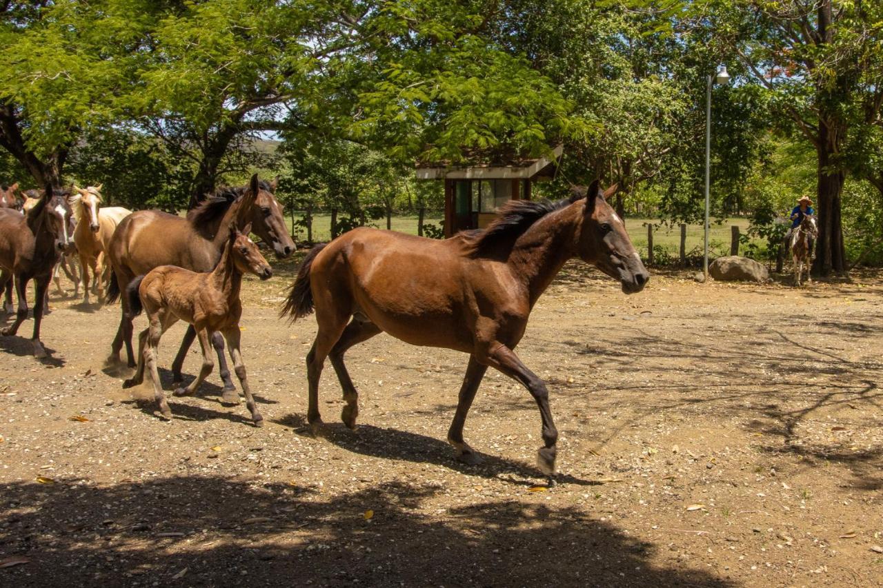 Puerto Humo  Rancho Humo Estancia מראה חיצוני תמונה